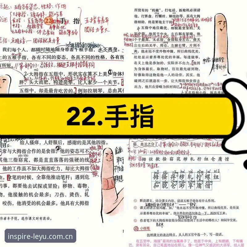 五步上手指南：灵感在水面泛起v4.2更新日志推荐与实用技巧